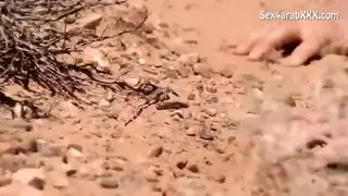 سكس عربي بالصحرا