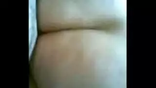الاليف مصري
