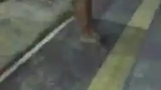 الدومينيكان متعرج في سن المراهقة الهواة