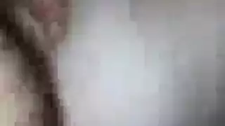 شاعر تجميع مص قفص