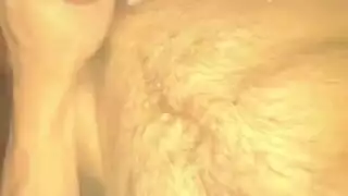 مريؤما