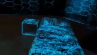 ماراثون بورن بيستياليتي حفلة نيك حيوانات