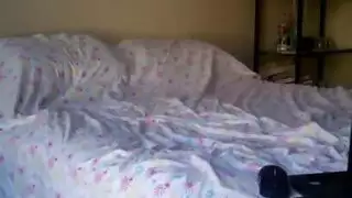 مغاول