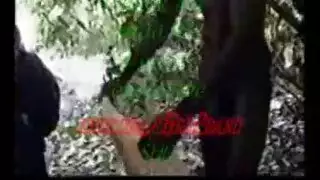 نجم إباحي أمريكي وأداته الضخمة
