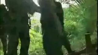 عاهرة الرسوم المتحركة س خيال جنس جماعي