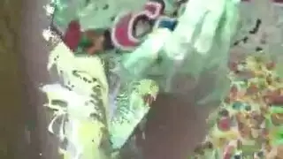 مكسيكي نيك