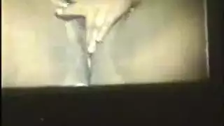 أمهات عراقيات في أستراليا: حركة شرجية ساخنة