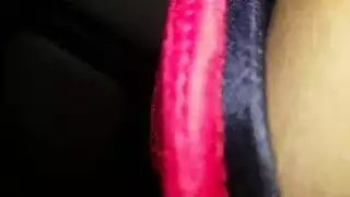 إباحية متحركة: استمناء وانفجار بالسائل المنوي