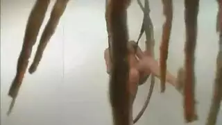 شاهِدها جميعًا