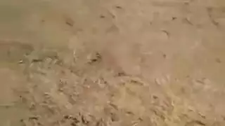 موقع سكس السودان احلى النهود