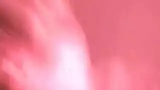 مجموعة شيميل شرجي وفموي قاسي