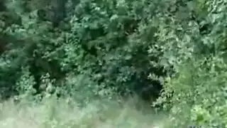 سوس سيرمان