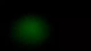 ثنائي نجوم الإباحة على الكاميرا في العمل