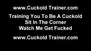 سكس فنانة لقاء سويدان