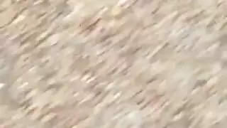 حركة دي بي هاردكور: أخذ قضيبين في وقت واحد