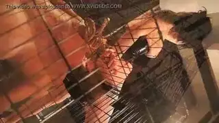 شهوة عائلية محرمة إكس إكس إكس