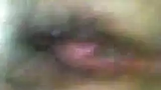أفلام نيك حبوبية: الجودة سيئة لكن الحركة واضحة