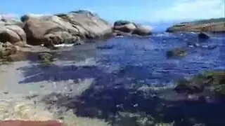 أتوق إلى فيلمك الجنسي الصريح