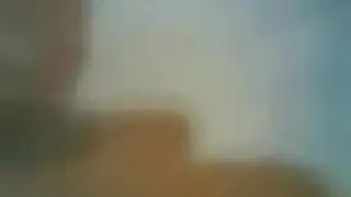 دى ويلمايز مترجم