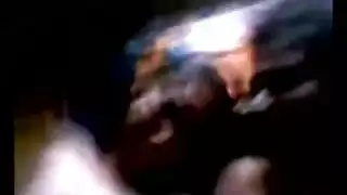 نافورة مني الخيول انفجار حيواني