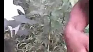 سكس مصر ى وكلا م قبيح