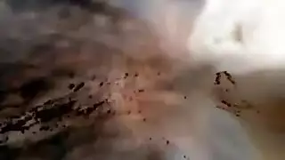 مؤخرات شوكولاتية ممتلئة تُضرب بعمق