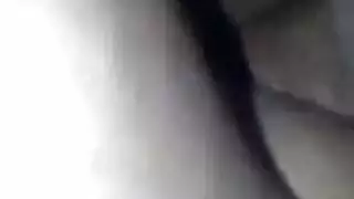 أفراد العائلة الإناث الأكبر سناً المشاغبات