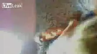 تجربة مع نجمات إباحية يشبهن مشاهير بوليود