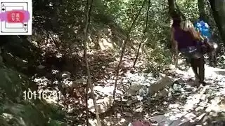 حارقات شيشانيات في أشرطة جنسية صريحة
