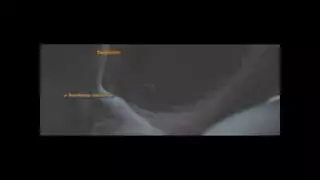 خيال بوليوود إكس إكس إكس مع ممثلة عارية وجنس عنيف