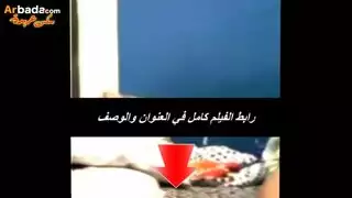 بغا يغشيه من وراها بس مشداخل