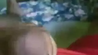 من خلال الاطلاع على الحمار الى الفم عيد الميلاد