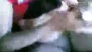‫عاهرة محجبة ساخنة تمص بقوة حتى قذف على وجهها‬