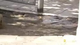 كسش كسش كسش كسش كسش كسش كسش