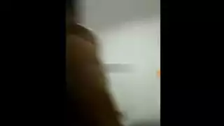 فليريا