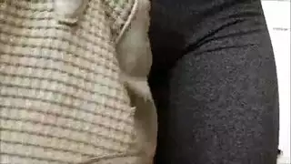 بنت عربيات سكس