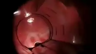 محافظة قنا