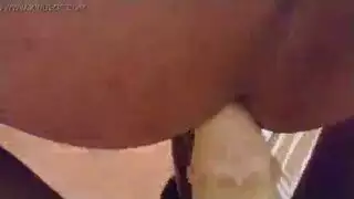 استراحة الربيع خنثى الهيمنة الأبواق
