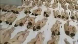 موقع بث أفلام إكس إكس إكس: مقاطع جنسية غير محدودة