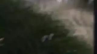 شرج علني في الزقاق: عنيف وجاهز