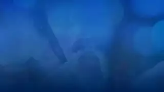 الجنس المكثف هو الرابط في علاقتهم