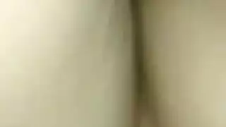 الشرج مشعرات الاختبار