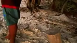 نائب الرئيس في عينيها تجميع الوجه الأقواس