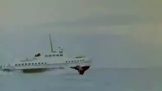 الحبيبة اليائسة تمتلئ في كل ثقب