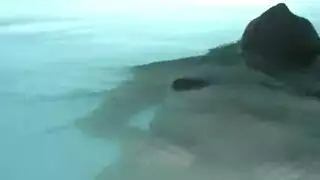 فاتحه مربره