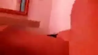 إباحية وحشية برية: نساء مع عشاق كلاب