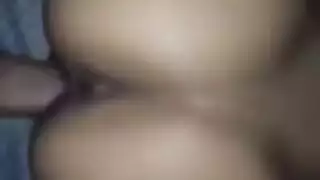 لليلة دخلة يضربها من طيزهة
