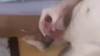 نيد فليبينية