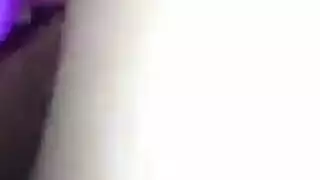 ضيق الهرة تحنيط الحمار الكبير