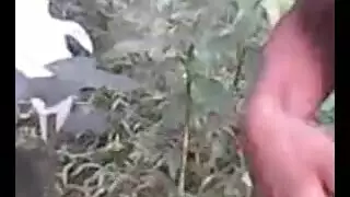 مراهقة آسيوية متحمسة تجرب مشهد جنس صريح
